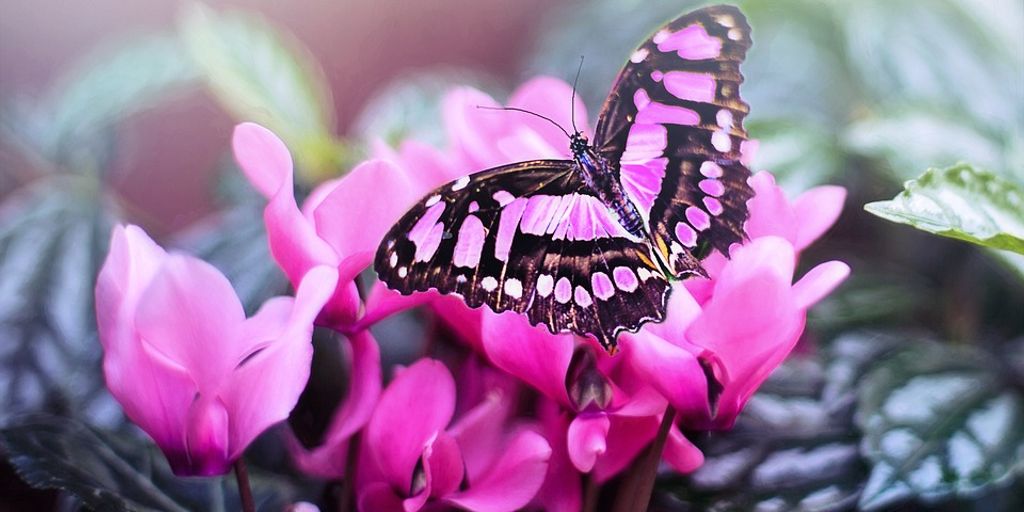 colorful flowers with bees and butterflies in a garden