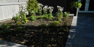 urban garden design in small spaces