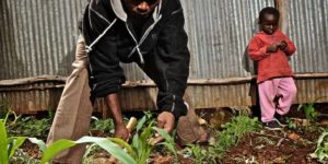 community garden with people working together